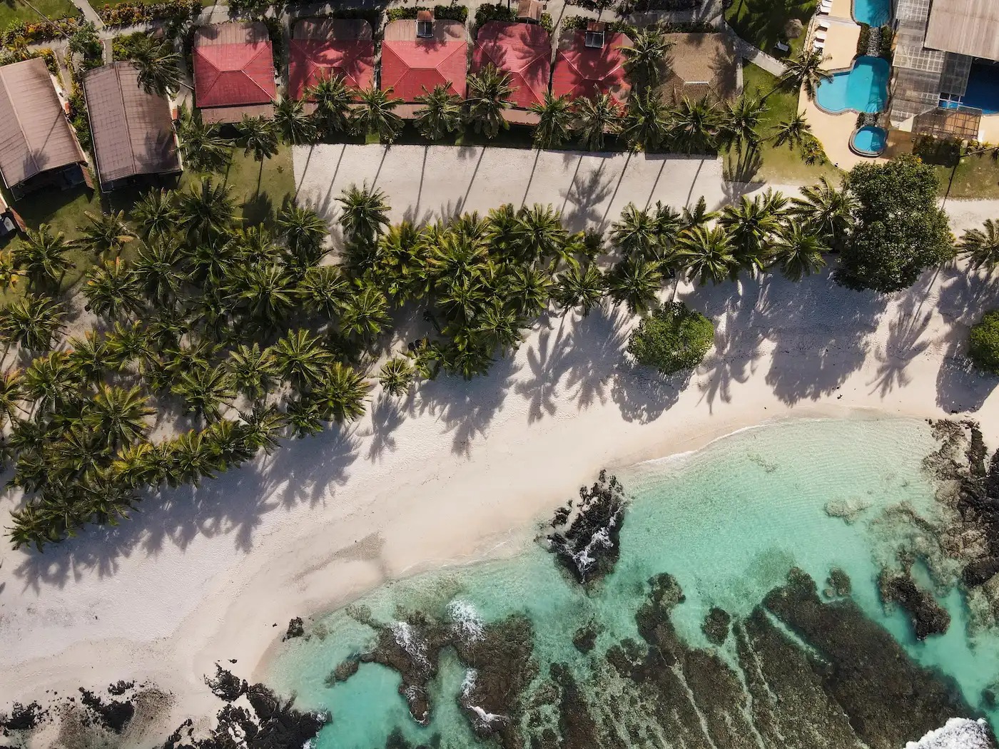 Return to Paradise – Samoa Sale!